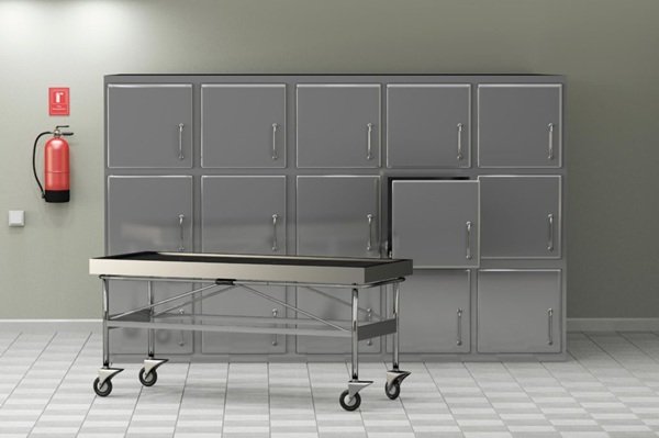Delhi NCR Dead Body Freezer Box Rental Services | +91 9999999999